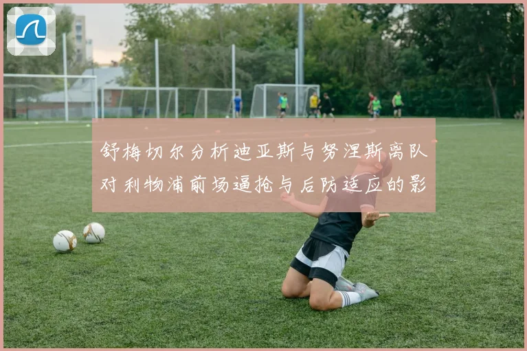 舒梅切尔分析迪亚斯与努涅斯离队对利物浦前场逼抢与后防适应的影响