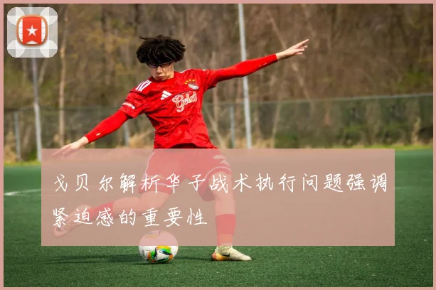 戈贝尔解析华子战术执行问题强调紧迫感的重要性
